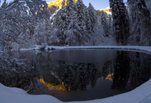 La Ferme Du Fay Lägenhet Sixt Exteriör bild